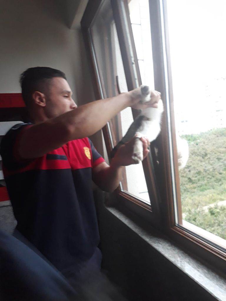 PENCEREYE SIKIŞAN KEDİYİ ORDU İTFAİYESİ KURTARDI